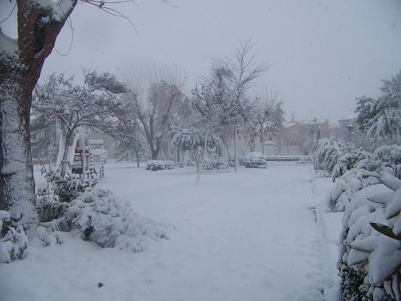 nieve 14 - 12 - 09 090